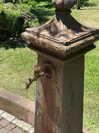 Drinking Water