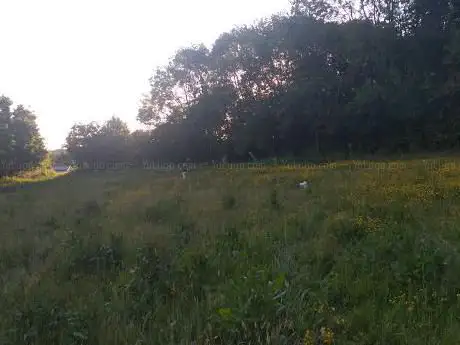 Woodrow and Greenlands Community Orchard