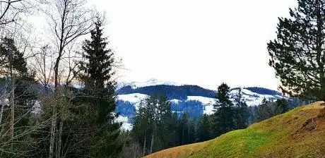 Rond om Tegersche (Chrüz)