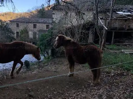Mas l'Antiga