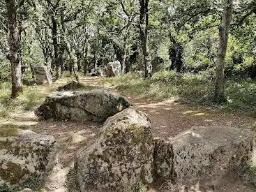 Photo de Alignement de Coet-er-Bei