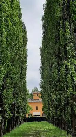 Photo de Parchetto Stradello Romano