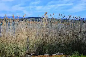 Photo de Murtensee
