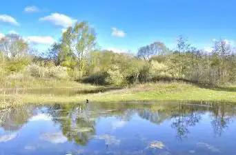 Orveytbos Moen
