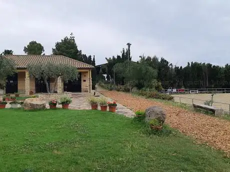 Circolo Ippico Boscovivo ASD