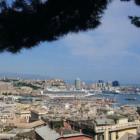 Go Genova Tours