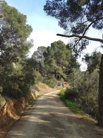 Parco Territoriale e Urbano della Pineta di Sinnai