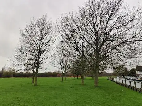 Photo de Belmore playing field
