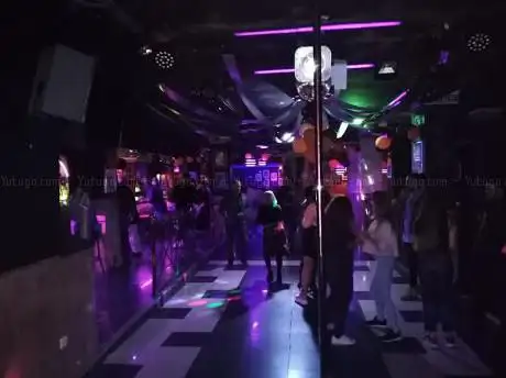 Photo de Zoo LGTB Disco