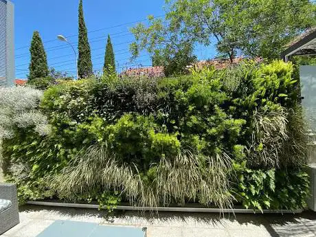 Photo de Greenworks Madrid: Jardines Verticales alquiler, diseño e instalación. Talleres terrario, team building. Eventos