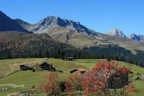 Alpinum Maran
