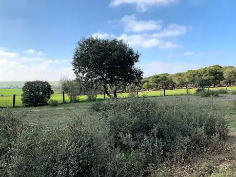 Photo de La dehesa Boyal