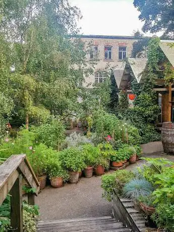 Photo de Dalston Eastern Curve Garden