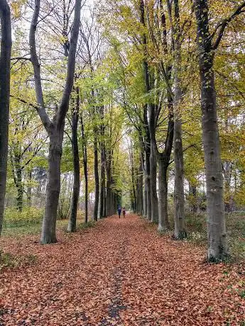 Wandeling Eversel-Ubbersel