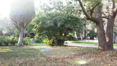 Pétanque Juanaise