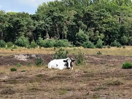 Hageven