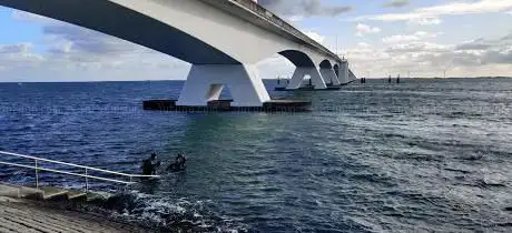 Dive Spot Zeelandbrug (32)
