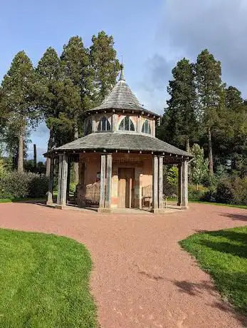 Woodland Shelyer