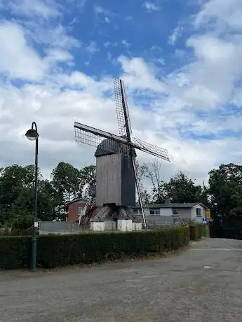 Baneberg