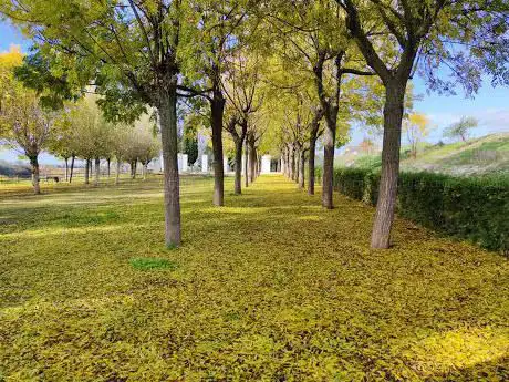Photo de RÃ­o Park