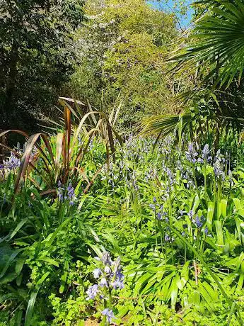 The Dell  Eastcliff Park