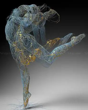 Photo de CULTUREINSIDE.gallery