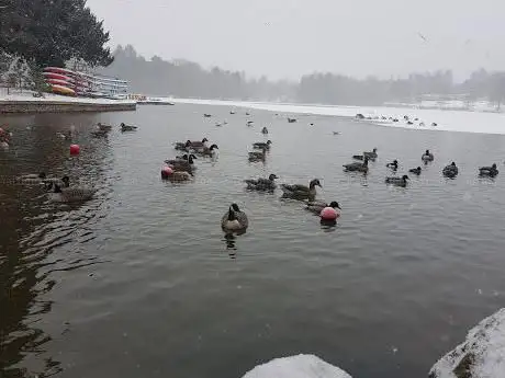 Photo de The Lake