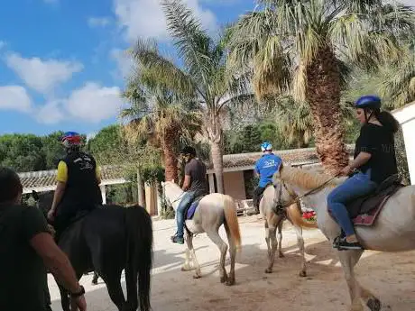 Cala dell'Arena Horse Camp
