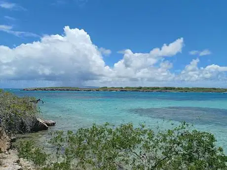 PASSION DES ÎLES - MIRRE FRANCIS - EXCURSIONS PETITE-TERRE DÉSIRADE