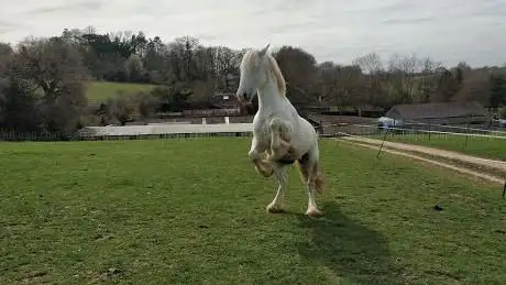 Photo de Kings Langley Riding School