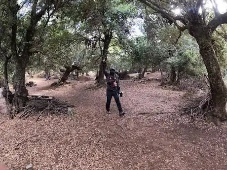paintball orgosolo