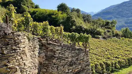 Bisse de Mont d'Orge