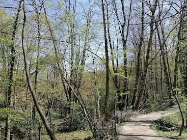 Buysdellebos