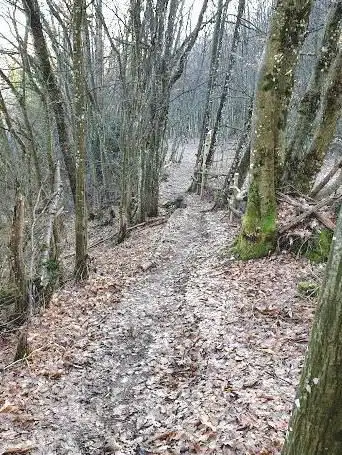 Croix De Corsuet