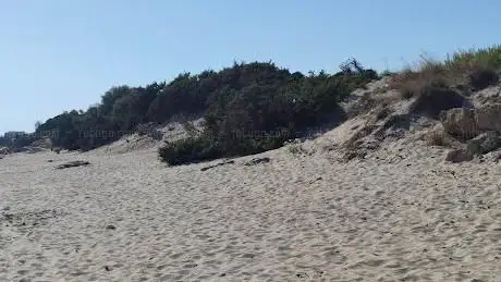 Photo de Spiaggia Punta Panzerotto