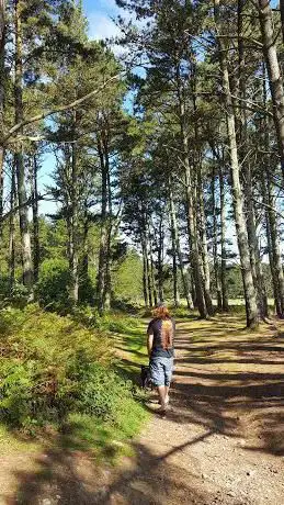 Friendship Woods