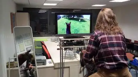 IndoorHorse