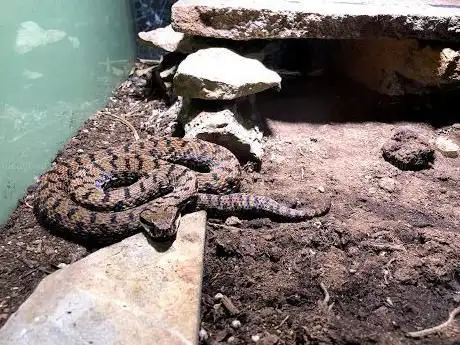 Photo de Acquario Marino della Città di Trieste