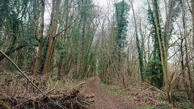 Trousseau Woods