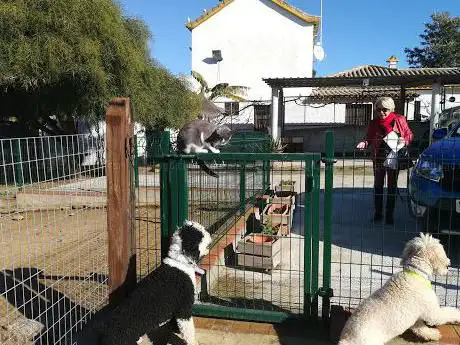 Photo de Veteranos Cadiz
