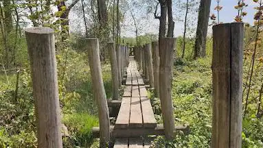 Dam