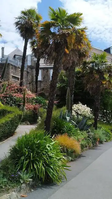 Dinard