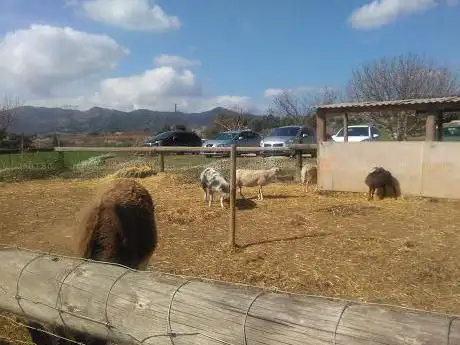 Photo de Enclusa Priorat