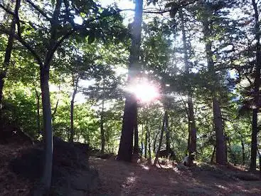 Arboretum 
