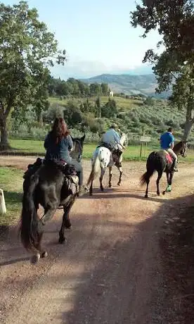 Photo de ASD IL DESTRIERO Equitazione di campagna