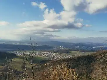 Gälflue