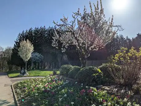 Rumney Hill Gardens
