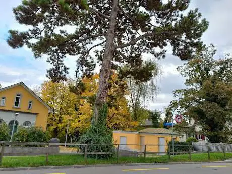Küsnachter Public Viewing