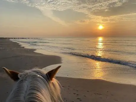 Photo de Pony Adventures Haamstede