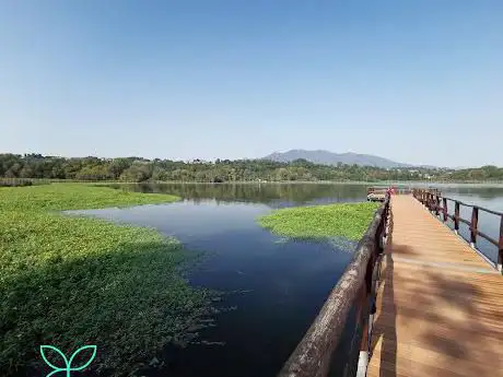 Photo de guida escursionistica naturalistica - Parco del Ticino